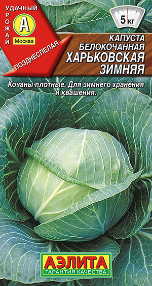 Капуста б/к Харьковская зимняя Капуста б/к Харьковская зимняя