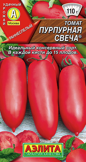 ����� ��������� �����