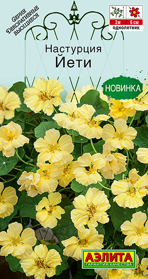 Настурция Йети