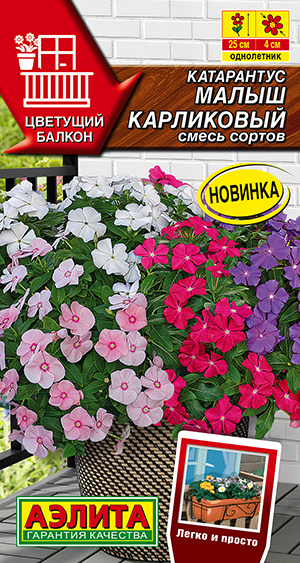 Катарантус Малыш карликовый, смесь сортов Катарантус Малыш карликовый, смесь сортов