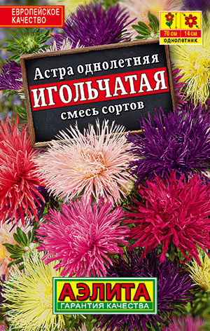 Астра Игольчатая, смесь сортов Астра Игольчатая, смесь сортов