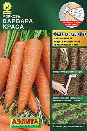 Морковь Варвара краса Морковь Варвара краса