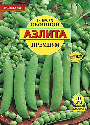 ����� ������� �������