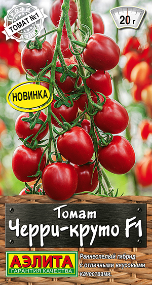 ����� �����-����� F1