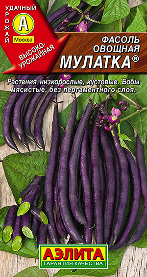 Фасоль овощная Мулатка Фасоль овощная Мулатка