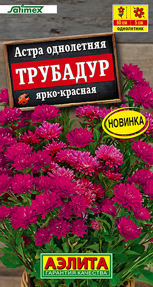 Астра Трубадур ярко-красная Астра Трубадур ярко-красная