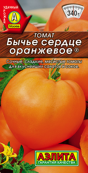 ����� ����� ������ ���������