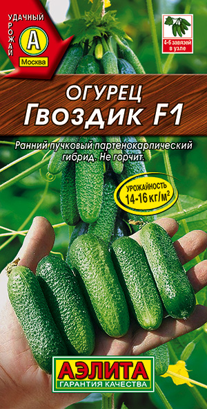 ������ ������� F1