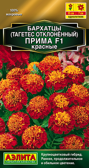 �������� ����� ������� F1 �����������