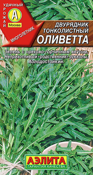 Двурядник тонколистный Оливетта Двурядник тонколистный Оливетта