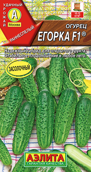 Огурец Егорка F1 ® Огурец Егорка F1 ®
