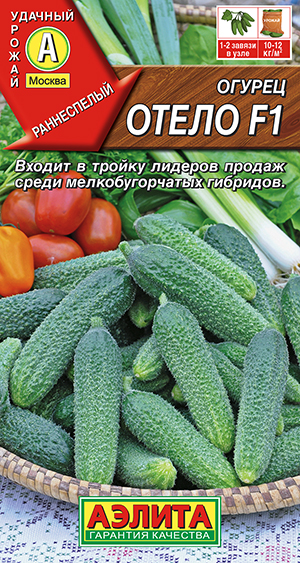 ������ ����� F1