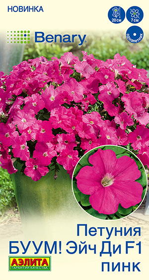 Петуния БУУМ! Эйч Ди F1 Пинк многоцветковая Петуния БУУМ! Эйч Ди F1 Пинк многоцветковая