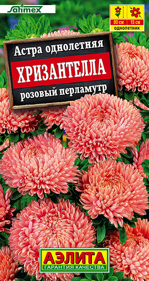 ����� ����������� ������� ���������