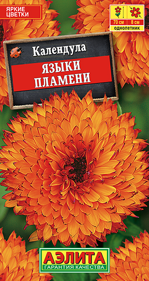 ��������� ����� �������