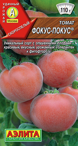 ����� �����-�����