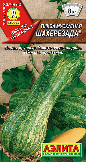 ����� ��������� ����������