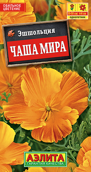 ��������� ���� ����