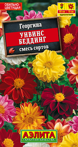 Георгина Унвинс Беддинг, смесь сортов Георгина Унвинс Беддинг, смесь сортов