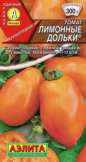 ����� �������� ������