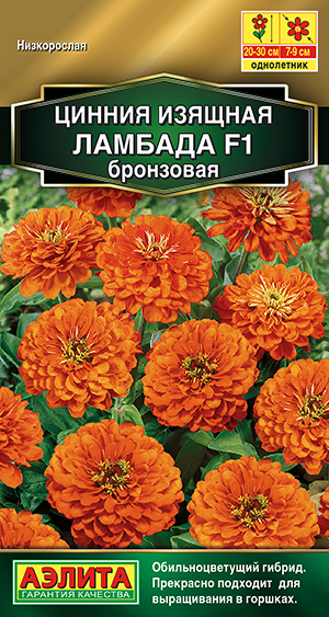 ������ ������� F1 ���������