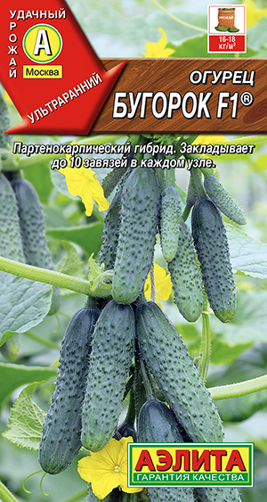 Огурец Бугорок F1 ® Огурец Бугорок F1 ®
