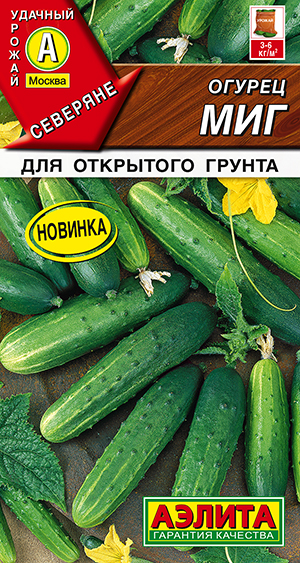 ������ ���