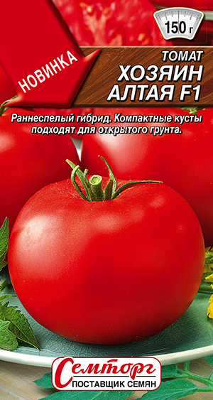 ����� ������ ����� F1