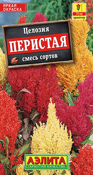 Целозия перистая, смесь сортов Целозия перистая, смесь сортов