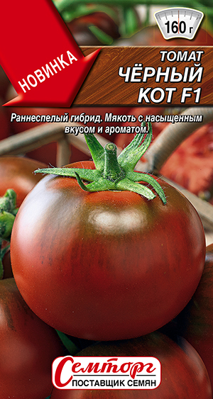 ����� ������ ��� F1