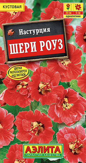 Настурция Шери Роуз карликовая Настурция Шери Роуз карликовая