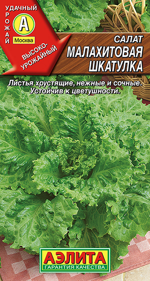 ����� ����������� �������� ��������