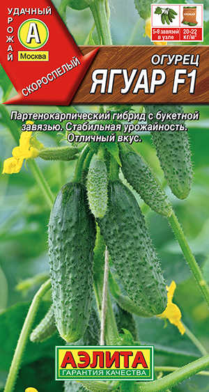 Огурец Ягуар F1 Огурец Ягуар F1