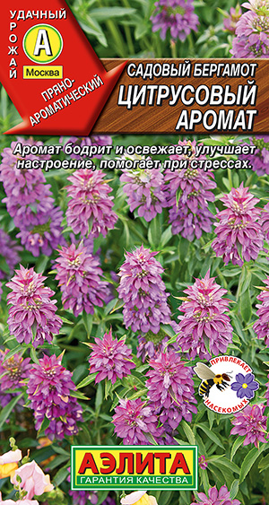Садовый бергамот Цитрусовый аромат Садовый бергамот Цитрусовый аромат
