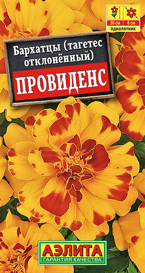 �������� ��������� �����������