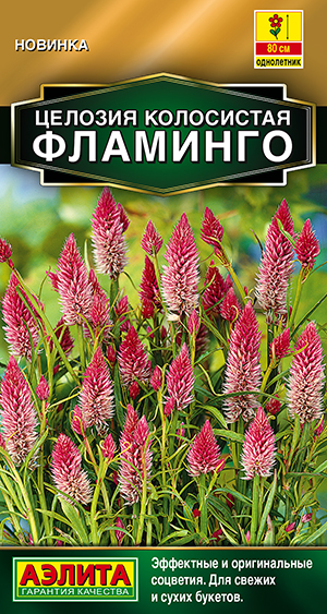 Целозия колосистая Фламинго Целозия колосистая Фламинго