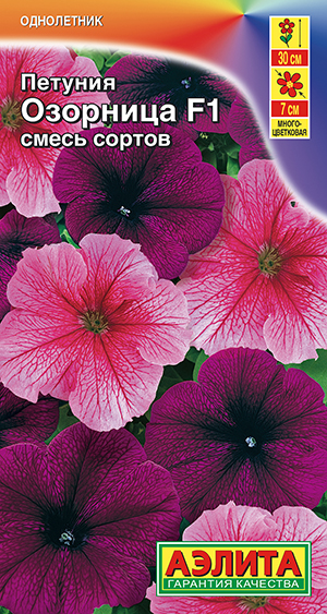 Петуния Озорница F1 многоцветковая, смесь сортов Петуния Озорница F1 многоцветковая, смесь сортов