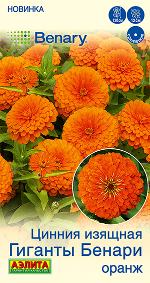 Цинния Гиганты Бенари оранж Цинния Гиганты Бенари оранж