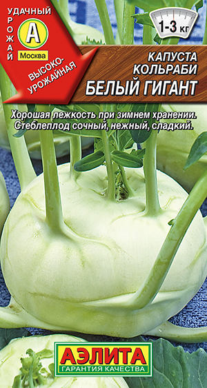 ������� �������� ����� ������