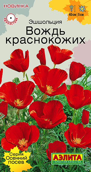 Эшшольция Вождь краснокожих