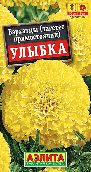 �������� ������ ������������