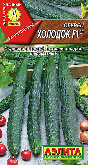 Огурец китайский Холодок F1 ® Огурец китайский Холодок F1 ®