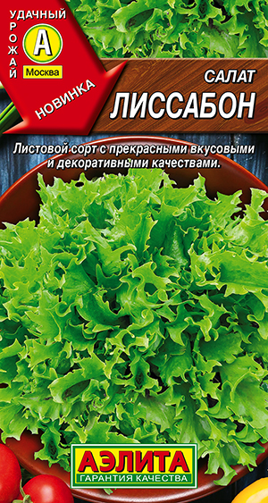 ����� ��������