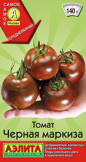 ����� ������ �������