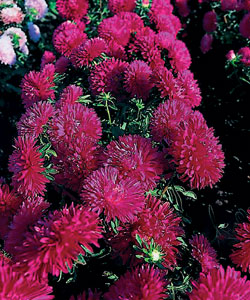 ����� ��������� ����� ������ ������� ����������