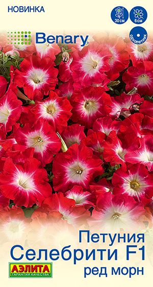Петуния Селебрити F1 ред морн многоцветковая Петуния Селебрити F1 ред морн многоцветковая