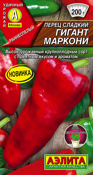 ����� ������� ������ �������