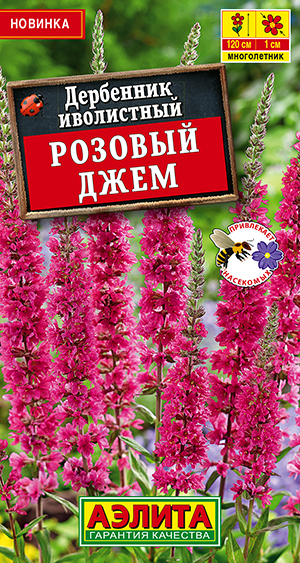 Дербенник Розовый джем Дербенник Розовый джем