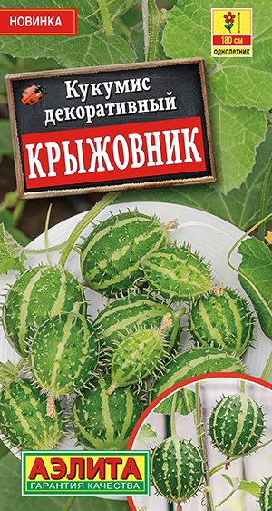 Кукумис декоративный Крыжовник Кукумис декоративный Крыжовник