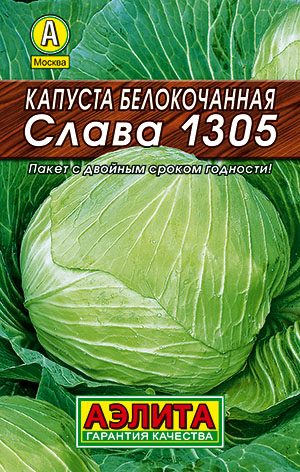 Капуста б/к Слава 1305 Капуста б/к Слава 1305